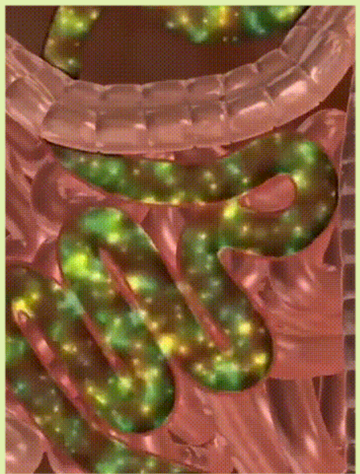 1764240507405250.png image.png